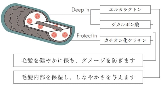 美髪ダメージケアトリートメント(カミノキヲク)