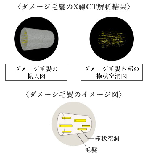 デイリートリートメント(グローバルミルボン)